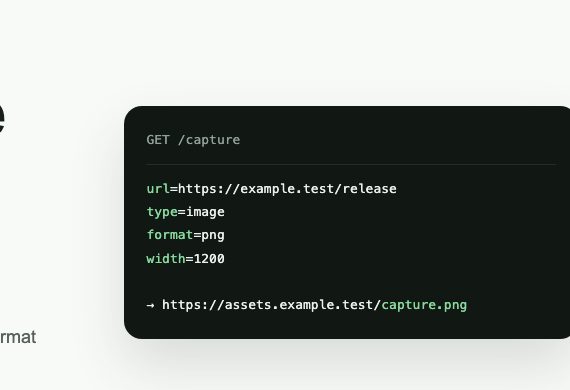 Selector crop showing the request terminal from the controlled capture test scene